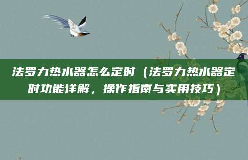 法罗力热水器怎么定时（法罗力热水器定时功能详解，操作指南与实用技巧）