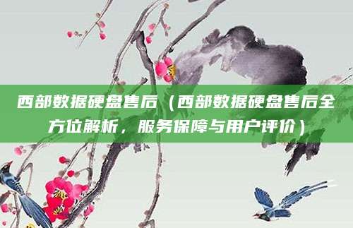 西部数据硬盘售后（西部数据硬盘售后全方位解析，服务保障与用户评价）