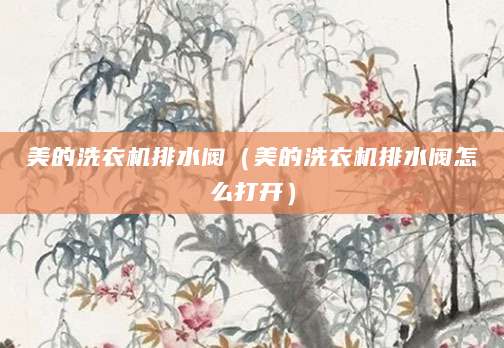 美的洗衣机排水阀（美的洗衣机排水阀怎么打开）