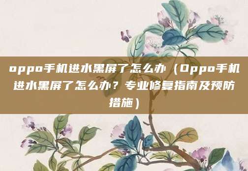 oppo手机进水黑屏了怎么办（Oppo手机进水黑屏了怎么办？专业修复指南及预防措施）