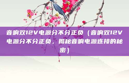 音响双12V电源分不分正负（音响双12V电源分不分正负，揭秘音响电源连接的秘密）