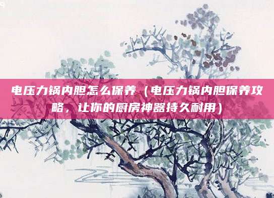 电压力锅内胆怎么保养（电压力锅内胆保养攻略，让你的厨房神器持久耐用）