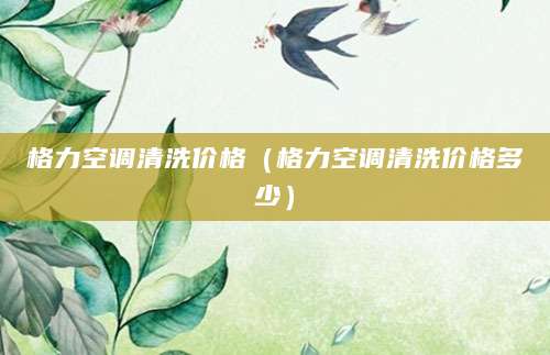 格力空调清洗价格(格力空调清洗价格多少)