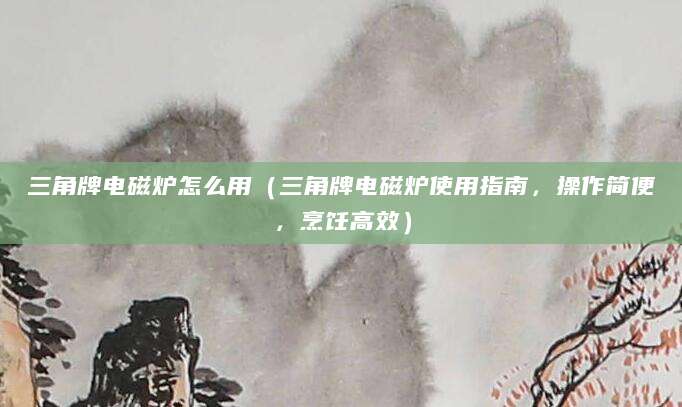三角牌电磁炉怎么用（三角牌电磁炉使用指南，操作简便，烹饪高效）