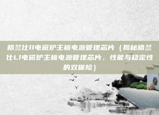 格兰仕l1电磁炉主板电源管理芯片（揭秘格兰仕L1电磁炉主板电源管理芯片，性能与稳定性的双保险）