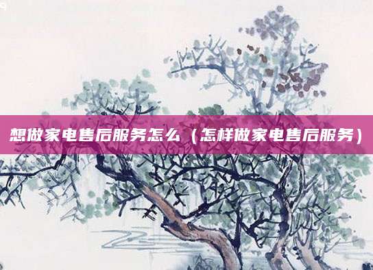 想做家电售后服务怎么(怎样做家电售后服务)
