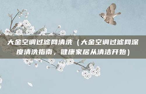 大金空调过滤网清洗（大金空调过滤网深度清洗指南，健康家居从清洁开始）