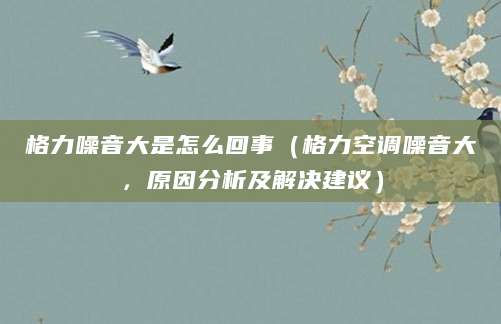 格力噪音大是怎么回事（格力空调噪音大，原因分析及解决建议）