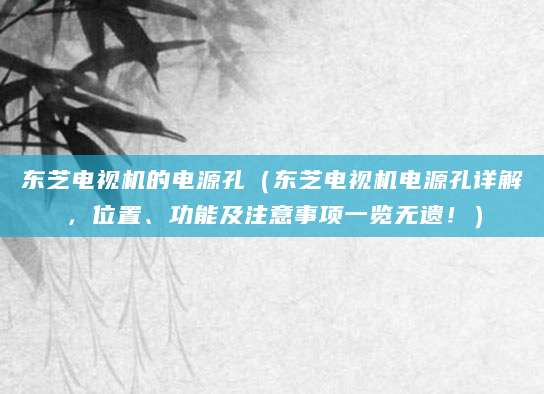 东芝电视机的电源孔（东芝电视机电源孔详解，位置、功能及注意事项一览无遗！）