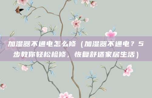 加湿器不通电怎么修（加湿器不通电？5步教你轻松检修，恢复舒适家居生活）