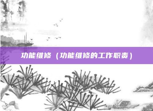 功能维修（功能维修的工作职责）