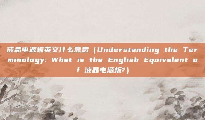 液晶电源板英文什么意思（Understanding the Terminology: What is the English Equivalent of 液晶电源板?）