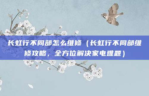 长虹行不同部怎么维修（长虹行不同部维修攻略，全方位解决家电难题）