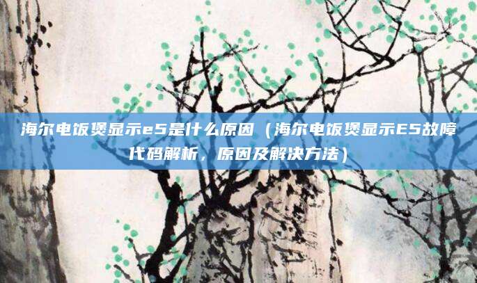 海尔电饭煲显示e5是什么原因（海尔电饭煲显示E5故障代码解析，原因及解决方法）