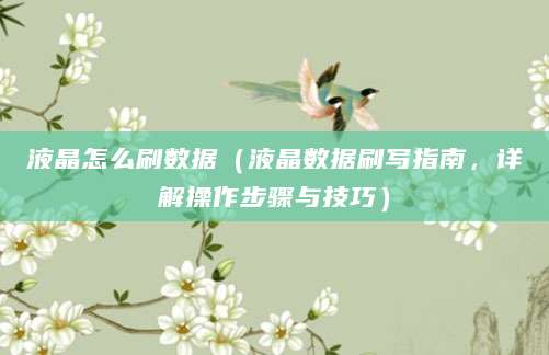 液晶怎么刷数据（液晶数据刷写指南，详解操作步骤与技巧）