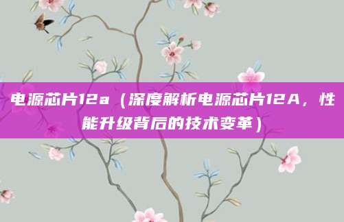 电源芯片12a（深度解析电源芯片12A，性能升级背后的技术变革）