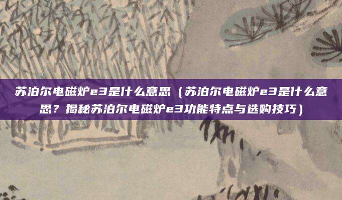 苏泊尔电磁炉e3是什么意思（苏泊尔电磁炉e3是什么意思？揭秘苏泊尔电磁炉e3功能特点与选购技巧）