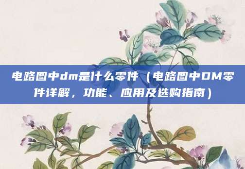 电路图中dm是什么零件（电路图中DM零件详解，功能、应用及选购指南）