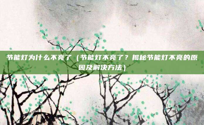 节能灯为什么不亮了（节能灯不亮了？揭秘节能灯不亮的原因及解决方法）