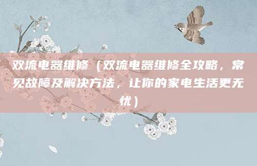 双流电器维修（双流电器维修全攻略，常见故障及解决方法，让你的家电生活更无忧）