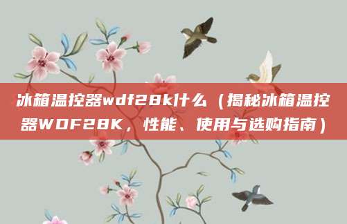 冰箱温控器wdf28k什么（揭秘冰箱温控器WDF28K，性能、使用与选购指南）