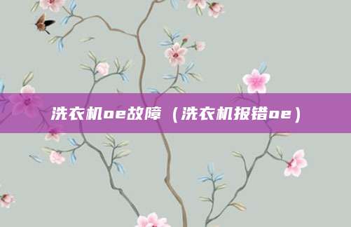 洗衣机oe故障（洗衣机报错oe）