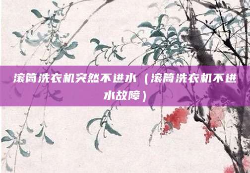 滚筒洗衣机突然不进水（滚筒洗衣机不进水故障）