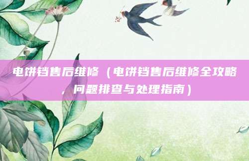 电饼铛售后维修(电饼铛售后维修全攻略,问题排查与处理指南)