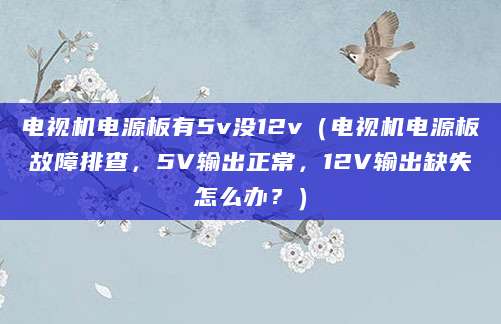 电视机电源板有5v没12v（电视机电源板故障排查，5V输出正常，12V输出缺失怎么办？）