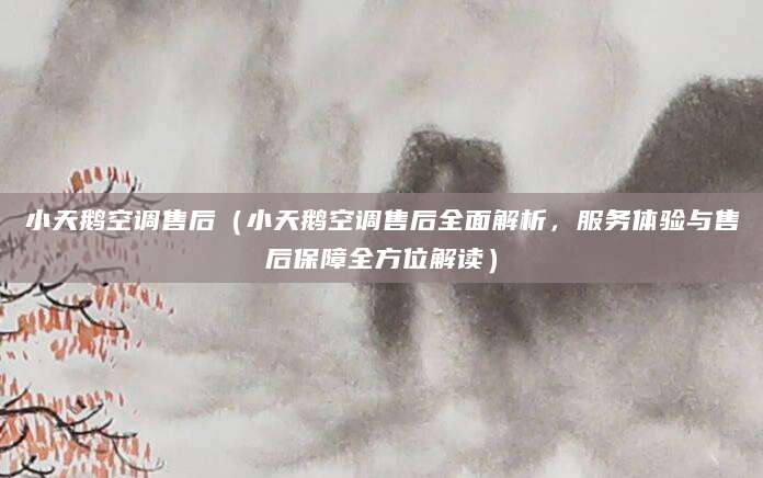 小天鹅空调售后（小天鹅空调售后全面解析，服务体验与售后保障全方位解读）