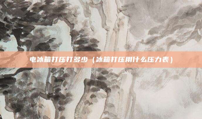 电冰箱打压打多少（冰箱打压用什么压力表）