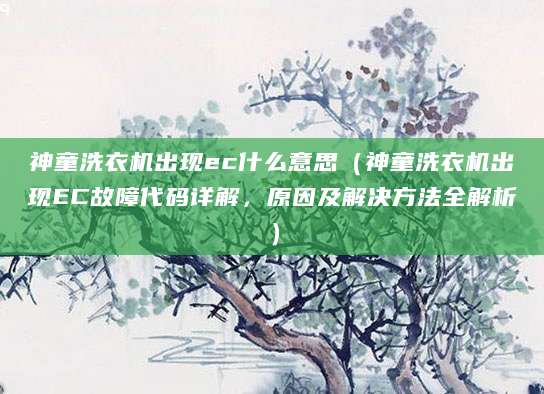神童洗衣机出现ec什么意思（神童洗衣机出现EC故障代码详解，原因及解决方法全解析）