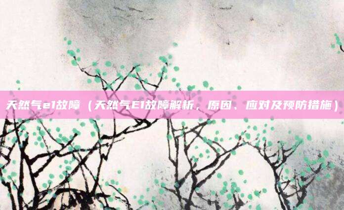天然气e1故障（天然气E1故障解析，原因、应对及预防措施）