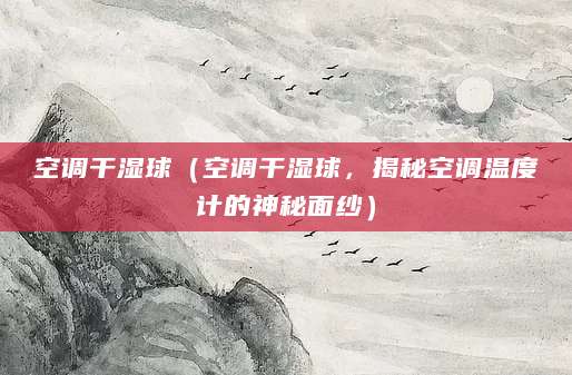 空调干湿球（空调干湿球，揭秘空调温度计的神秘面纱）