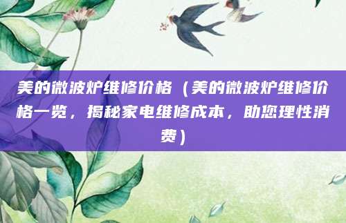 美的微波炉维修价格（美的微波炉维修价格一览，揭秘家电维修成本，助您理性消费）