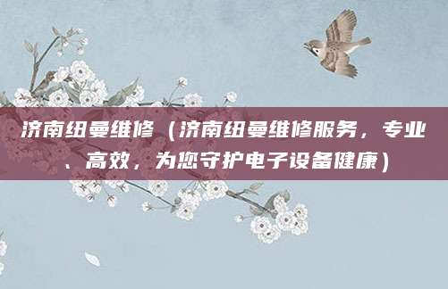 济南纽曼维修（济南纽曼维修服务，专业、高效，为您守护电子设备健康）