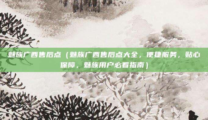 魅族广西售后点（魅族广西售后点大全，便捷服务，贴心保障，魅族用户必看指南）