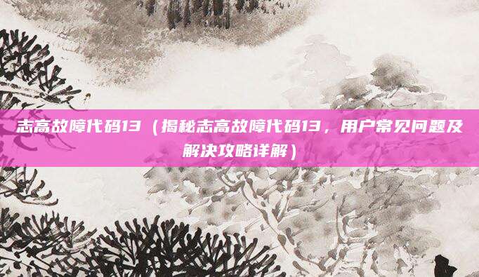 志高故障代码13（揭秘志高故障代码13，用户常见问题及解决攻略详解）