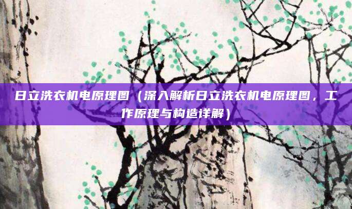 日立洗衣机电原理图（深入解析日立洗衣机电原理图，工作原理与构造详解）
