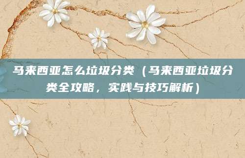 马来西亚怎么垃圾分类（马来西亚垃圾分类全攻略，实践与技巧解析）