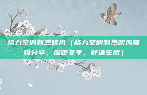格力空调制热吹风（格力空调制热吹风体验分享，温暖冬季，舒适生活）
