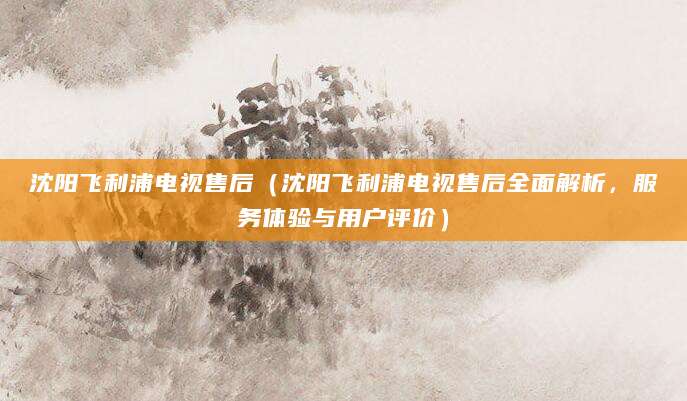 沈阳飞利浦电视售后（沈阳飞利浦电视售后全面解析，服务体验与用户评价）