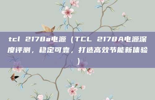 tcl 2178a电源（TCL 2178A电源深度评测，稳定可靠，打造高效节能新体验）