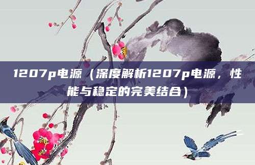 1207p电源（深度解析1207p电源，性能与稳定的完美结合）