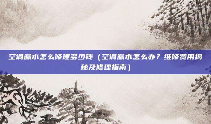 空调漏水怎么修理多少钱（空调漏水怎么办？维修费用揭秘及修理指南）