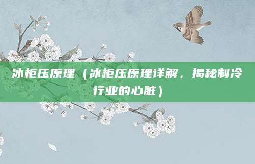 冰柜压原理（冰柜压原理详解，揭秘制冷行业的心脏）