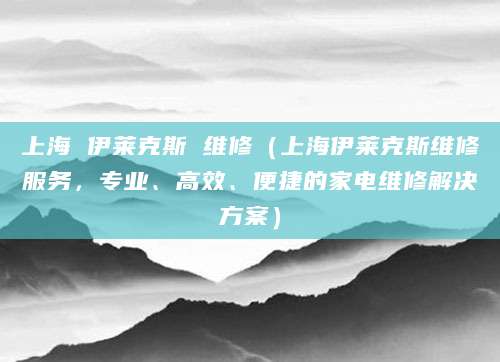 上海 伊莱克斯 维修（上海伊莱克斯维修服务，专业、高效、便捷的家电维修解决方案）