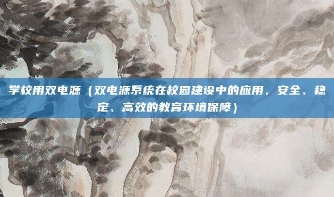 学校用双电源（双电源系统在校园建设中的应用，安全、稳定、高效的教育环境保障）