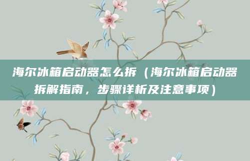 海尔冰箱启动器怎么拆（海尔冰箱启动器拆解指南，步骤详析及注意事项）