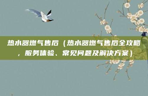 热水器燃气售后（热水器燃气售后全攻略，服务体验、常见问题及解决方案）